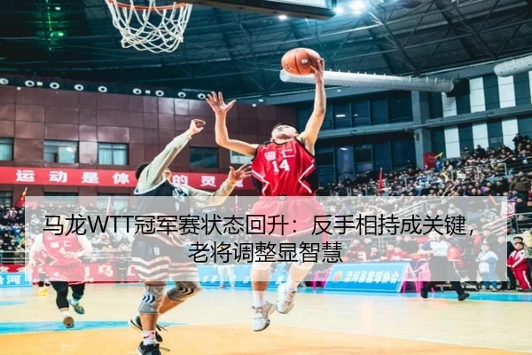 马龙WTT冠军赛状态回升：反手相持成关键，老将调整显智慧