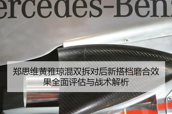 zheng-si-wei-huang-ya-qiong-hun-shuang-chai-dui-hou-xin-da-dang-mo-he-xiao-guo-quan-mian-ping-gu-yu-zhan-shu-jie-xi-3-302.jpg
